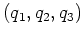 \bgroup\color{Black}$\left(q_1, q_2, q_3\right)$\egroup