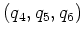 \bgroup\color{Black}$\left(q_4, q_5, q_6\right)$\egroup