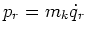 \bgroup\color{Black}$p_r = m_k \dot{q}_r$\egroup