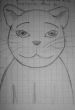 Gato Gato